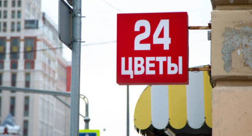 В ботаническом саду Томска появилась «самая чёрная орхидея в мире»