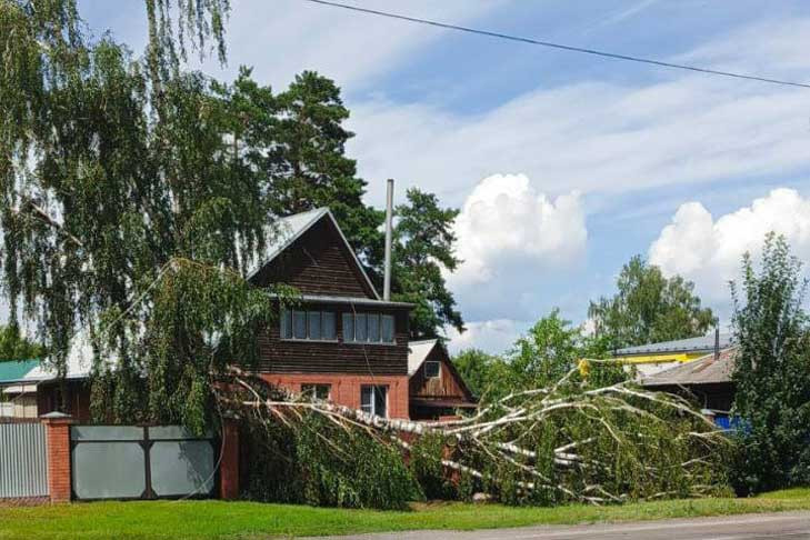 Сильный ураган обесточил поселок Ордынское в Новосибирской области