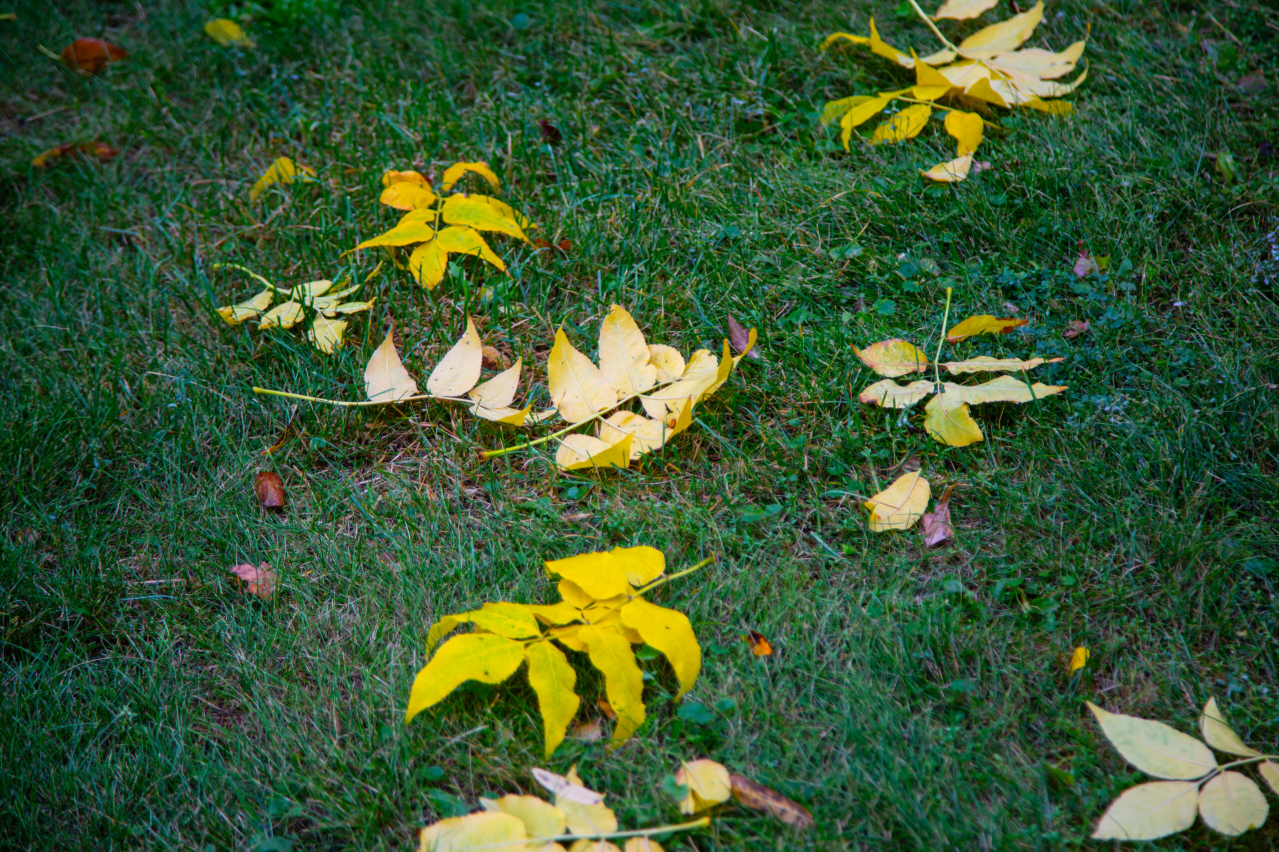 В Омской области закрывается база отдыха «Белая вежа» на Иртыше