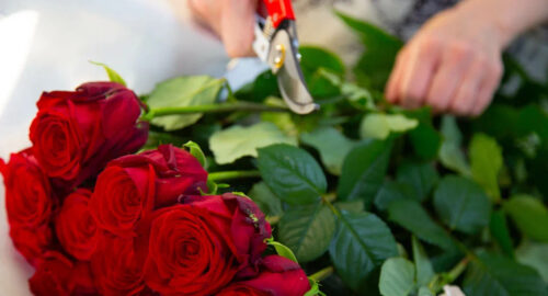 Лере Кудрявцевой на «Песню года» привезли букет из Барнаула