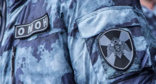 Росприроднадзор вместе с ОМОН изъял льва у блогера из Сургута