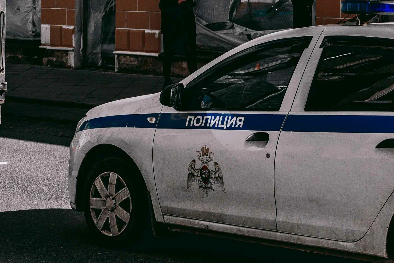 Школьницы в Омске резали щенка ножом и снимали издевательства на видео