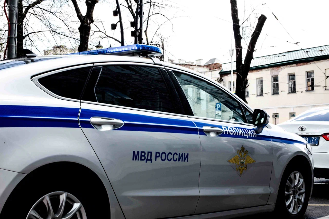 На берегу озера в Красноярском крае обнаружили тело младенца в пакете