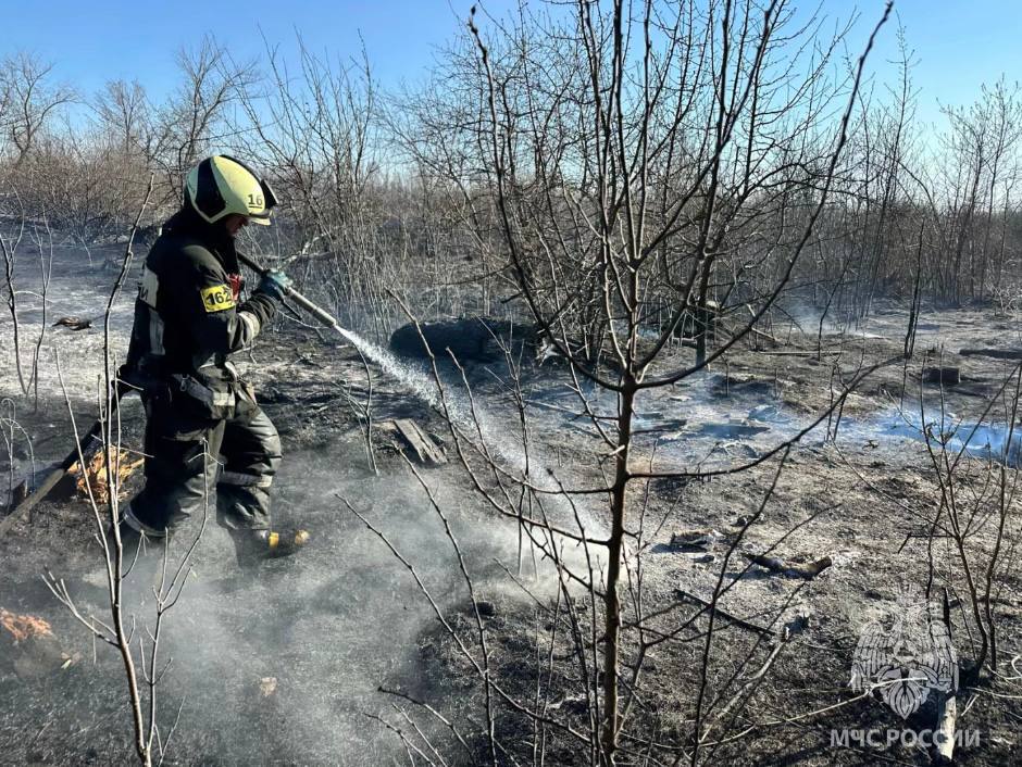 Жителей Новосибирской области предупредили об угрозе природных пожаров
